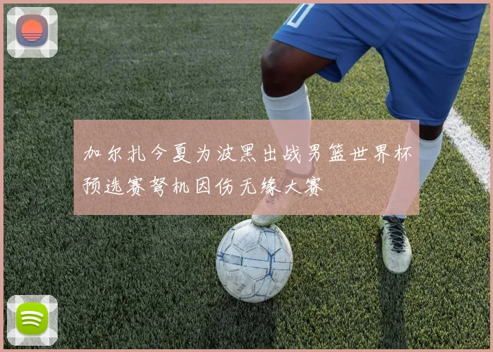 加尔扎今夏为波黑出战男篮世界杯预选赛弩机因伤无缘大赛