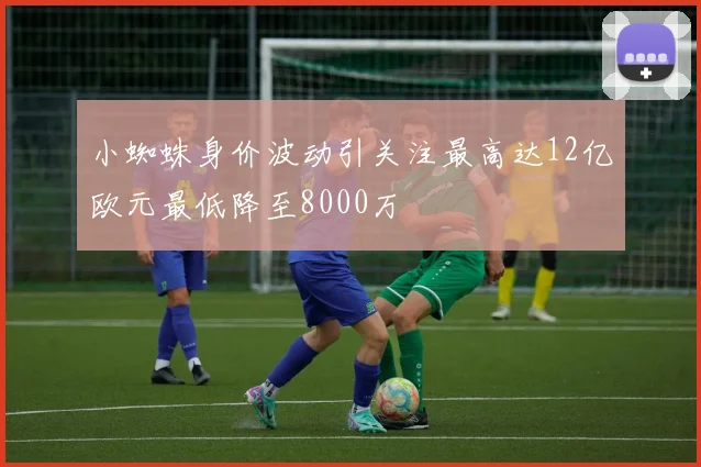 小蜘蛛身价波动引关注最高达12亿欧元最低降至8000万